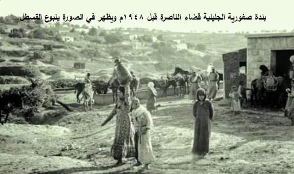 حكاية صورة